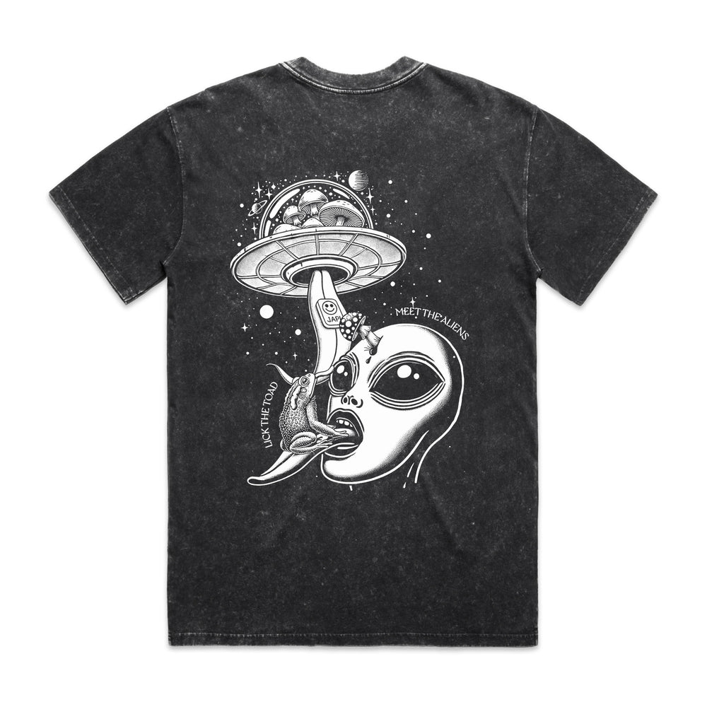 Falling Up Stone Washed Over Size T-Shirt